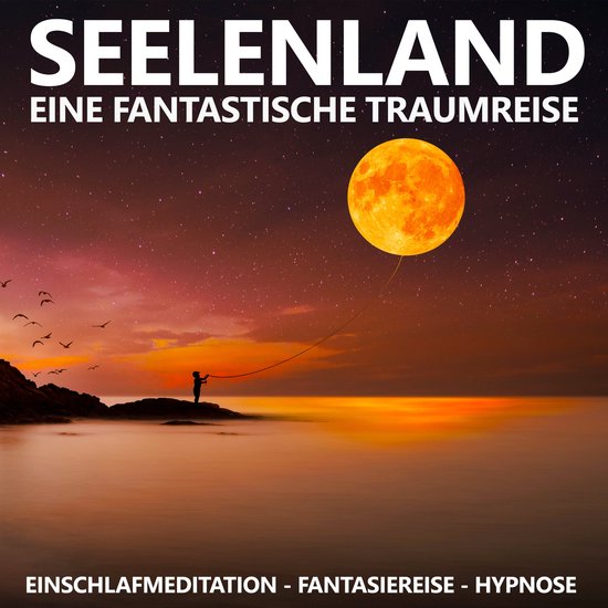 Seelenland - Eine fantastische Traumreise - cover