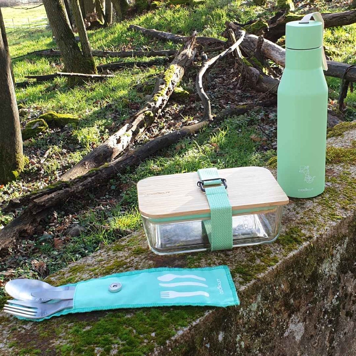 Goedkoopste Cookut lunchbox uit glas bamboe deksel en riem groen 20x12x8cm