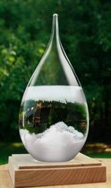 Kikkerland Stormglas Weervoorspeller - Leuk Kerstcadeau! – Stormglas Barometer - Donderglas – Weervoorspeller - Storm Globe – Thermometer