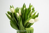 Tulpen 50 stuks wit, voorjaarsbloemen, snijbloem, boeket, gratis thuis bezorgt