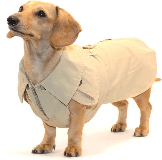 Dog coat trench 55 cm