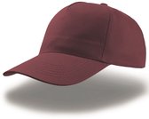 Pet - burgundy - 1 stuk  -