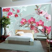 Fotobehang - Pink orchids - variation II.