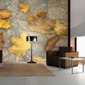 Fotobehangkoning - Behang - Vliesbehang - Fotobehang - Harbinger van de herfst - 200 x 154 cm