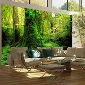 Fotobehangkoning - Behang - Vliesbehang - Fotobehang - Jungle - 200 x 154 cm