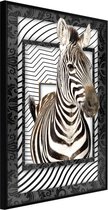 Zebra in the Frame