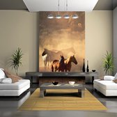 Fotobehang - Wilde paarden van de steppe.