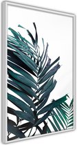 Evergreen Palm Leaves