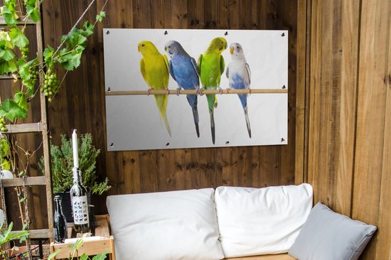 Tuinposter 120x80 cm - Tuindecoratie Groepje parkieten op een stokje - Poster voor in de tuin - Buiten decoratie - Schutting tuinschilderij - Tuindoek muurdecoratie - Wanddecoratie balkondoek
