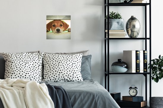 Poster Un chiot regarde à travers une clôture - 30x30 cm