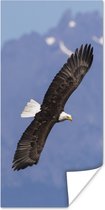 Poster Amerikaanse zee arend - Adelaar - Vliegende - Vleugels - Vogels - 60x120 cm