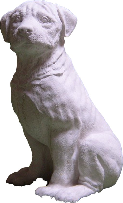 dynamisch Conceit harpoen Tuinbeeld Hond (Wit/Gepattineerd) - decoratie voor binnen/buiten - beton |  bol.com