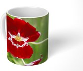 Mok - Rode orchidee in het gras - 350 ML - Beker