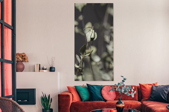 Tableau sur toile Branches d'eucalyptus séchées - 80x160 cm - Décoration murale