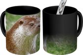 Magische Mok - Foto op Warmte Mokken - Koffiemok - Otter in het gras - Magic Mok - Beker - 350 ML - Theemok