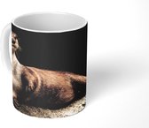 Mok - Koffiemok - Otter op steen - Mokken - 350 ML - Beker - Koffiemokken - Theemok