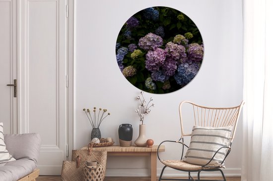 WallCircle - Cercle mural - Cercle mural - Arbustes fleuris d'hortensias au jardin - Aluminium - Dibond - 140x140 cm - Intérieur et extérieur