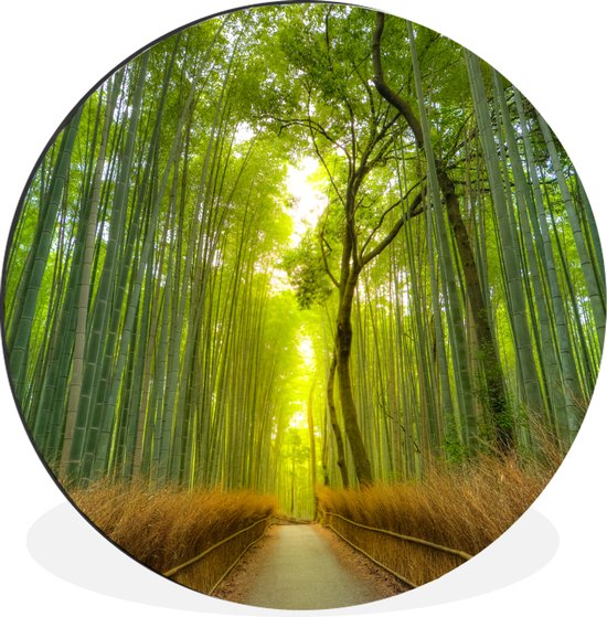 WallCircle - Wandcirkel - Muurcirkel - Pad in het Arashiyama-bamboebos in Japan - Aluminium - Dibond - ⌀ 30 cm - Binnen en Buiten