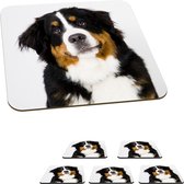 Onderzetters voor glazen - Portretfoto van een Berner Sennenhond - 10x10 cm - Glasonderzetters - 6 stuks