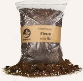 SYBASoil Ficus mix 5L - Turfvrije Potgrond Mix - 6 Maanden Voeding