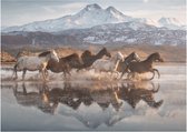 Schmidt puzzel Paarden in Cappadocië - 1000 stukjes - 12+