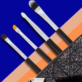 CAIRSKIN Professional Make-up Set 4 Brushes + Glitter Clutch Limited edition