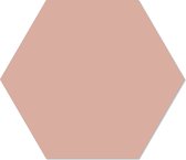 Muurhexagon effen zalm Dibond - Aanbevolen / 24 x 20 cm