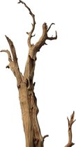 Ghostwood takken gezandstraald 90 cm- Decoratieve takken - Gedroogd Hout - Grote Takken in pot