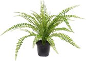 Asplenium Kunstvaren 45 cm in pot