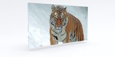 Akoestisch  schilderij Tijger - 124x64x7 cm rechthoekig | Geluidsisolatie | Akoestische panelen | Isolatie paneel | Geluidsabsorptie | Akoestiekwinkel