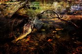 Celtic Tree - Canvas schilderij - Stilleven Water - 80x120cm - Wanddeco - Premium Canvas - Water - Takken - Herfst - Stilleven - Vis - Vergankelijkheid - Bruin - Oranje