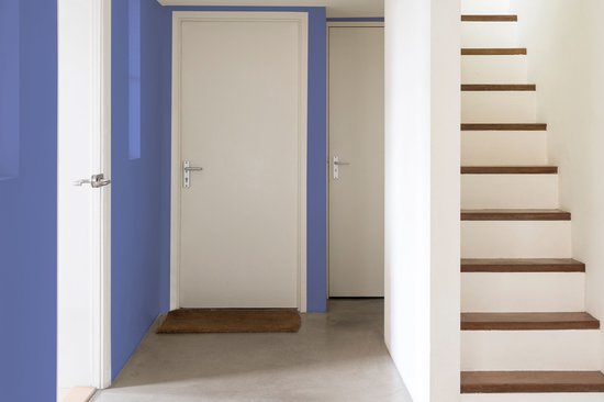 Hal met blauwe muur, witte deuren en een houten trap.