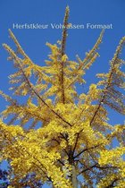 Jonge Japanse Notenboom | Ginkgo biloba | 100-150cm hoogte