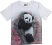 Nature planet - Panda - T-shirt - Unisex T-shirt (100% Oeko-tex gecertificeerd) maat 104-110 - 4-5 jaar