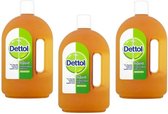 Dettol antiseptic disinfectant 750ml- Ontsmettingsmiddel-Desinfecterende vloeistof