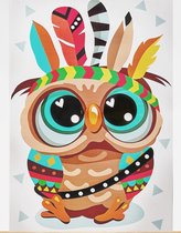Schilderen op nummer - Owl the Indian - uil - 20x30 cm - compleet pakket - gespannen op canvas