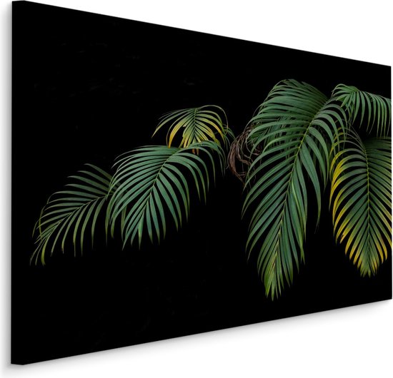 Schilderij - Tropische palmbladeren zwarte achtergrond, premium print