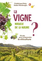 Clés pour comprendre - La vigne, miracle de la nature ?