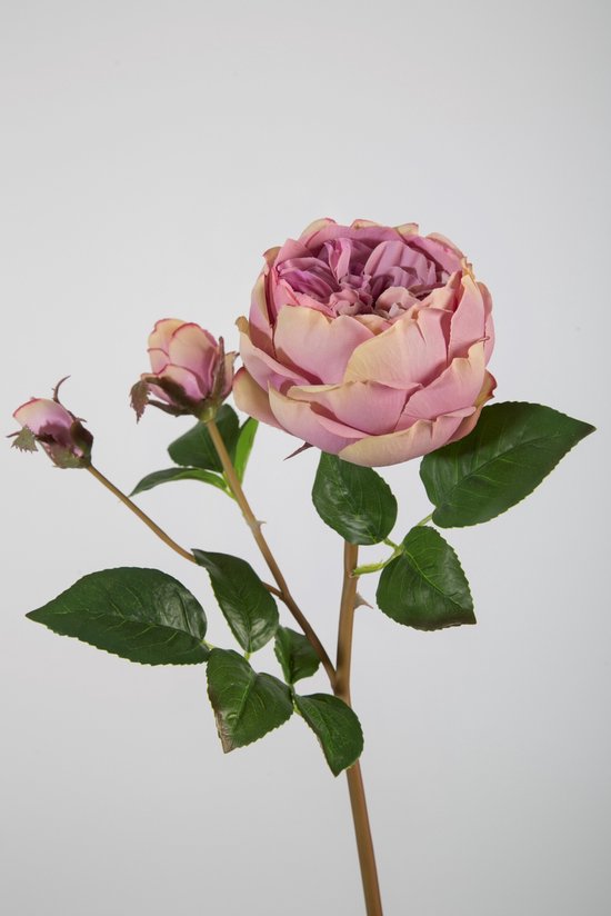 Viv! Home Luxuries Rose David Austin - fleur en soie - lilas - qualité supérieure