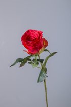 Kunstbloem - set van 2  -Roos - decoratieve tak - 55 cm - rood
