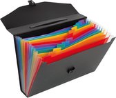 Viquel VI-117287-03 Documentenmap Rainbow Class ® A4 PP 12 Tabs, 13 Vakken
