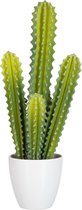 Cactus - Cactus | kunststof | wit - groen | 22x16x (h)52.5 cm