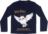Harry Potter "Welcome To Hogwarts" pyjama  12 Jaar