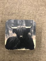 Onderzetters  zwarte buffel ( 20stuks ) 201133