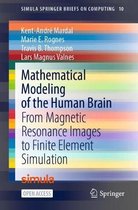 Mathematical Modeling of the Human Brain: From Magnetic Resonance Images to Finite Element Simulation