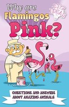 Big Ideas!- Why Are Flamingos Pink?