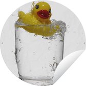 Tuincirkel Bad eend in een glas water - 90x90 cm - Ronde Tuinposter - Buiten