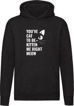 You've cat to be kitten me right meow | Je maakt nu een grapje | Kat | Poes | Kater | Dier | Huisdier | Dierendag | Unisex | Trui | Sweater | Hoodie | Capuchon | Zwart