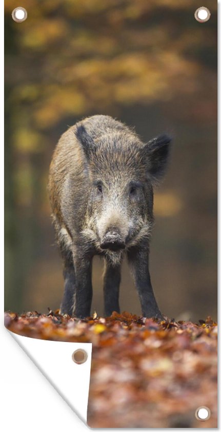 Affiche de clôture Animal sauvage - Forêt - Automne - 100x200 cm - Toile de jardin