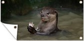 Tuinposter Otter met voedsel in het water - 60x30 cm - Tuindoek - Buitenposter